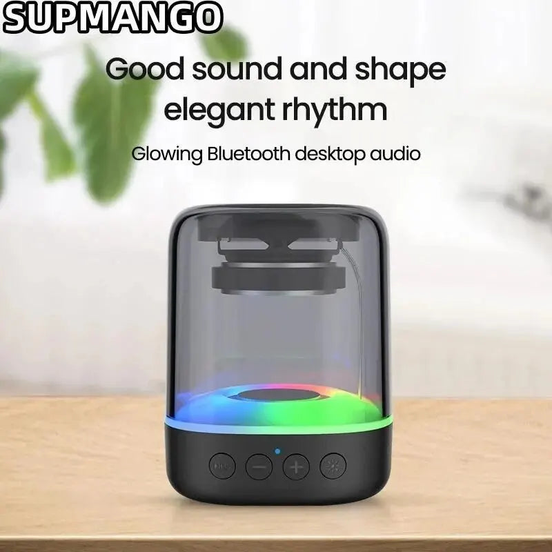 Mini enceinte bluetooth sans fil avec amplificateur Ă  haut rendement